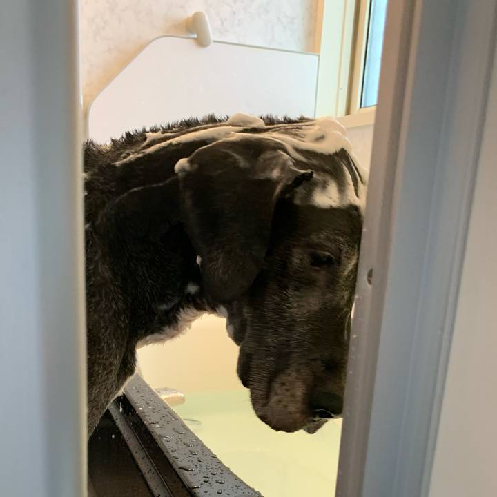 6e959e29 c492 45c1 81c2 cdc2e5c8b4a1 1601786286853