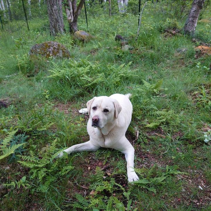 6e95ac90 e264 4d84 8c93 cbcb8848e509 1623992010998