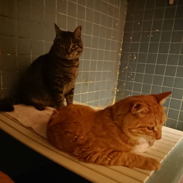 6e9613c6 1803 4f0e b469 2e7a7e23d7cc 1655811618840