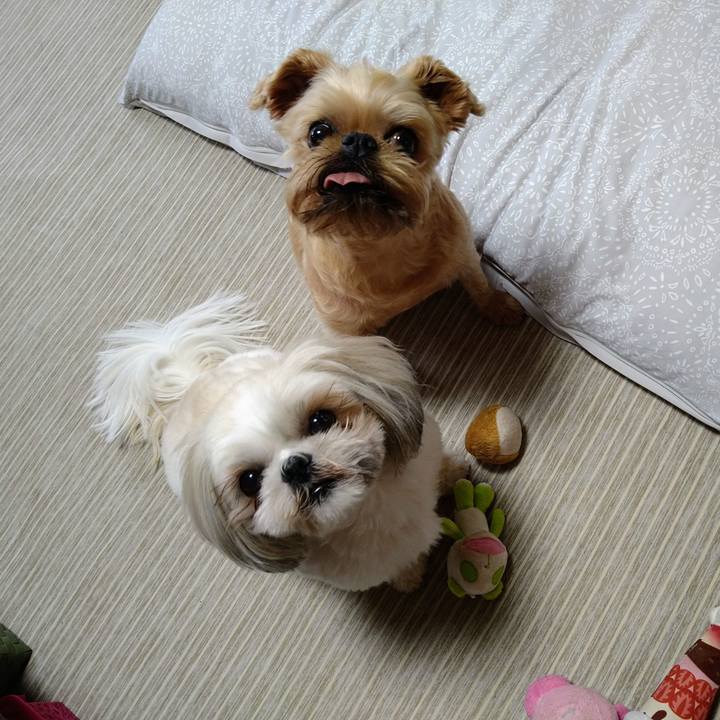 6e9618d6 474a 43f0 80fa 145c24c2af66 1622694294024