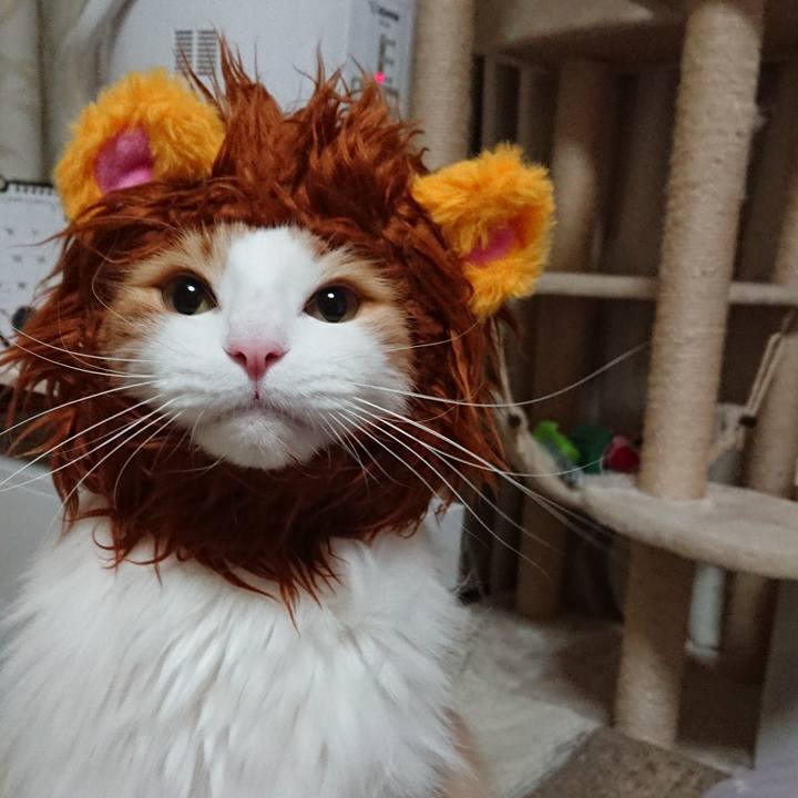 6e964971 23f7 4fb6 8c04 065774197b26 1550797591890