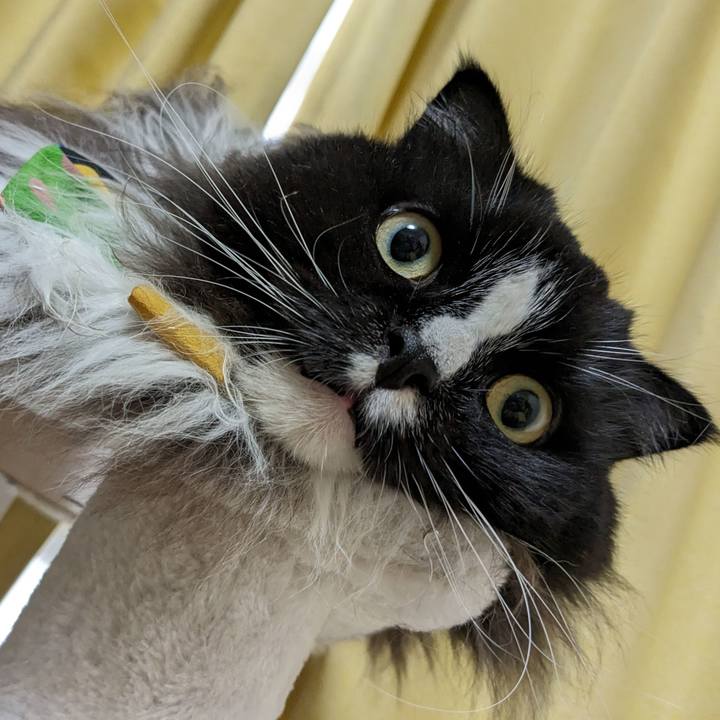 6e965af0 44d6 46b8 809c 8e2083a4a8a7 1694271507912