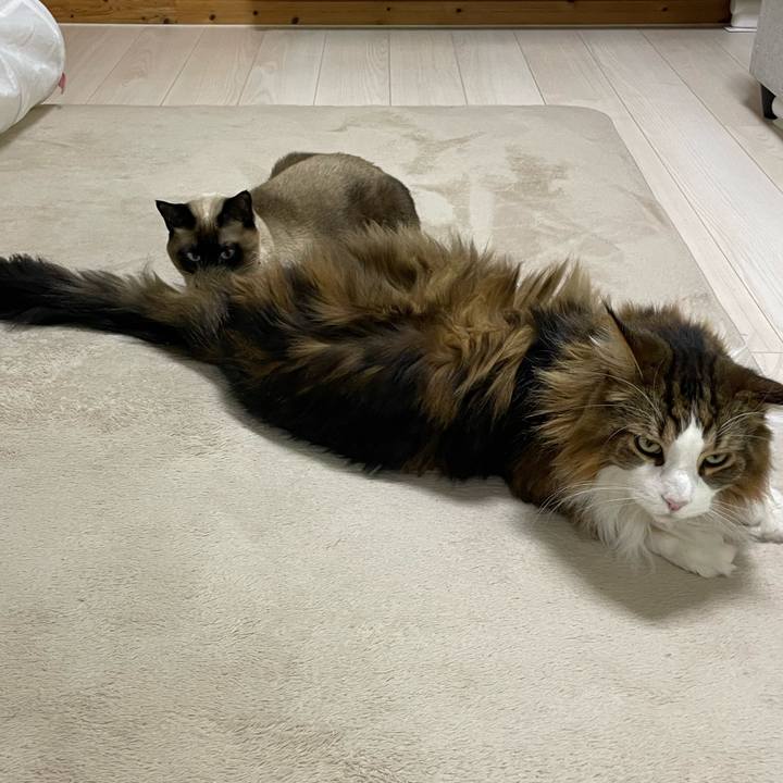 6e967a41 957b 4e40 b4e6 4859622b9e10 1739997450381