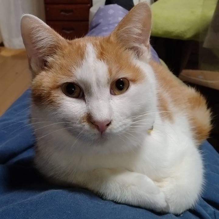 6e9686cf 8b54 4d40 a42b 14948d3d3a1f 1736843221234