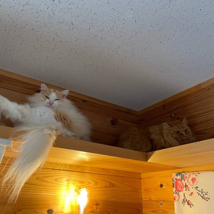 6e9688df 6b69 48b9 8d1f 65b2eee87ef0 1681334275224