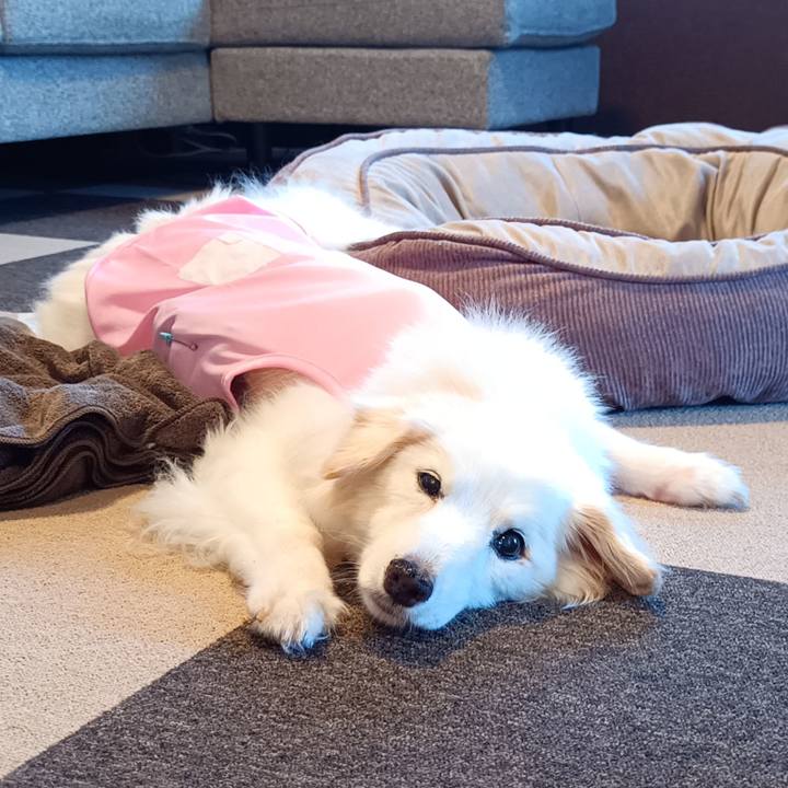 6e96c952 ae0f 4fa2 a3a5 4fbacc652f1a 1760502325967