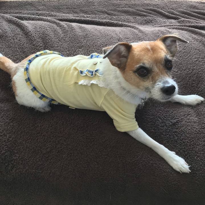 6e96cb3d 8a04 4e73 b555 eb8739d7a3b0 1542439992349