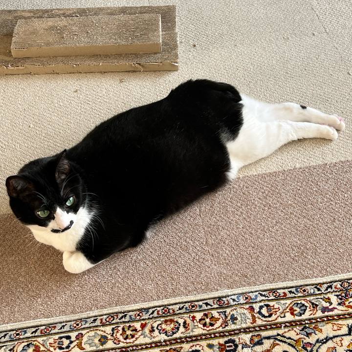 6e96ee5b 3386 4f7d bd9e db6083c4ec04 1764196756806