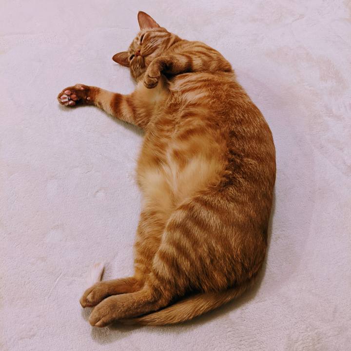 6e974682 b36a 4d16 92cd affbeae703a7 1619443031304