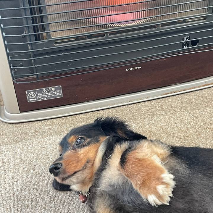 6e9754b4 0da6 4f2d a03a c29196de2622 1634507915005