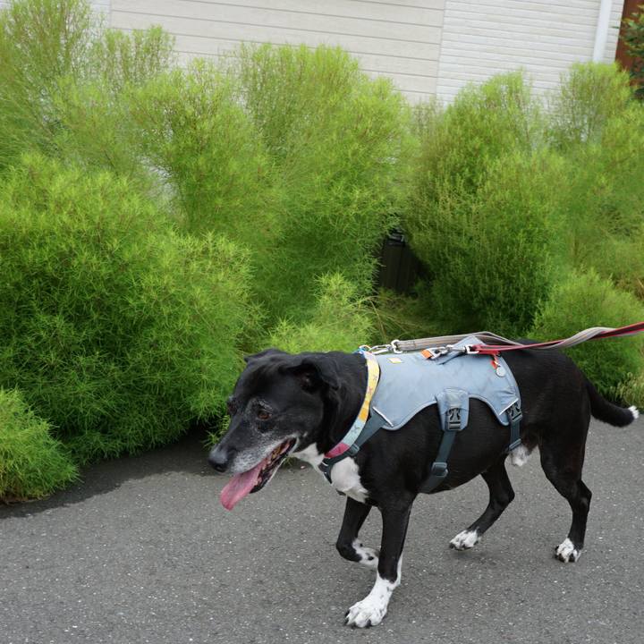 6e976c55 bba7 4a63 b76c d0b59e55a12c 1757635441397