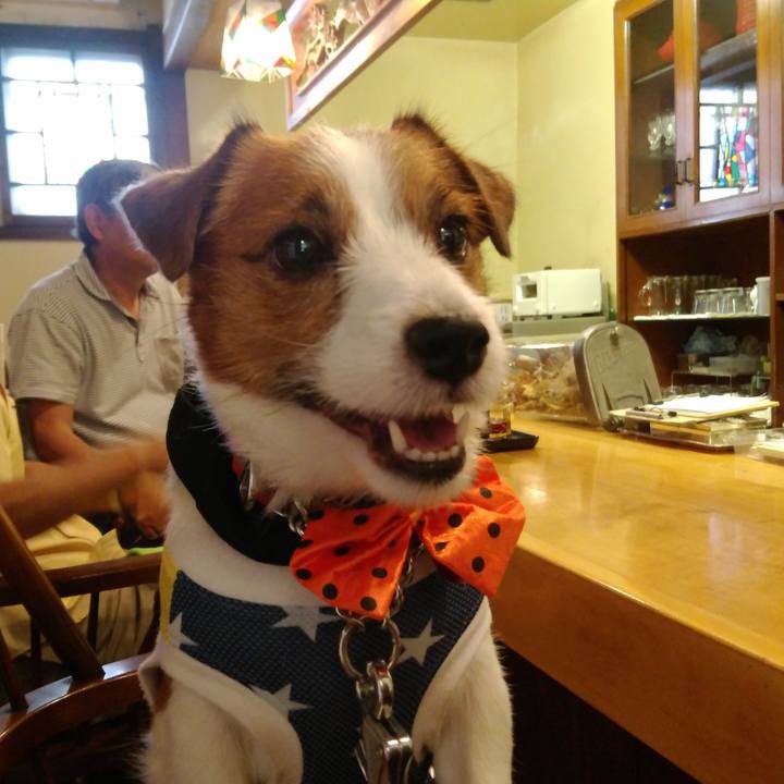 6e97ab15 ab27 419e a104 0ee2e6fe3798 1536490827822