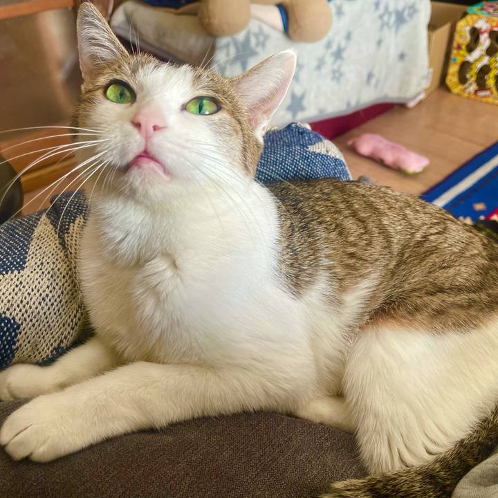 6e97b0f0 b8c5 4fa2 8414 125a7570fd8b 1635215611023