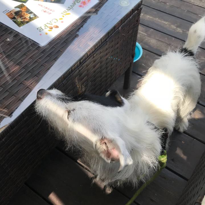 6e981883 a2a4 4585 9bbb 786a23666cf4 1537169236609