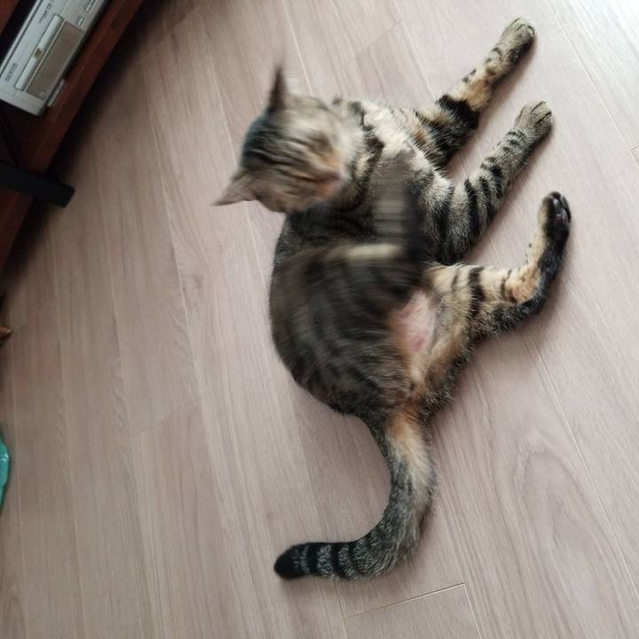 6e9818b1 0dec 49dc 9725 cb7b1becf3fe 1567312269150