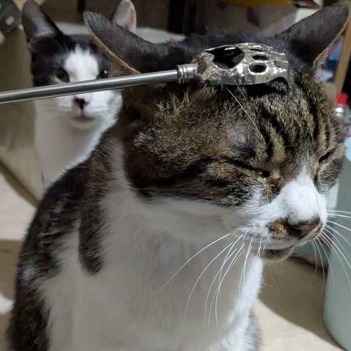 6e9824b2 f26f 422a 8ff5 96f9ae4f8e34 1742651403601