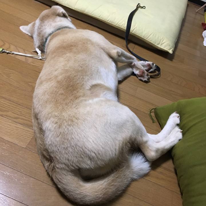 6e984a77 e30e 4891 940e 2e645b6b72ae 1537964772720