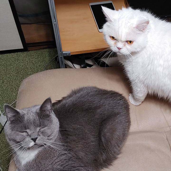 6e985151 7137 4161 97b1 5576bc6d651b 1715425022718