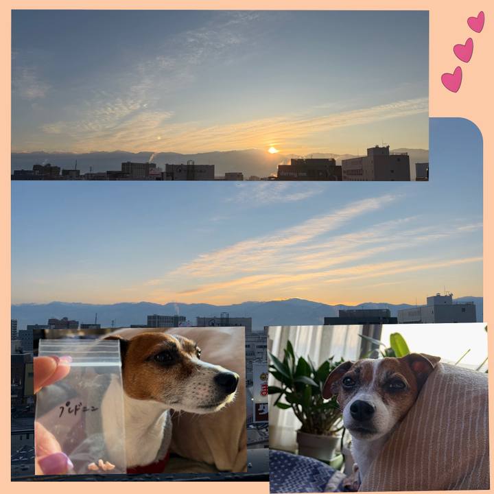 6e985376 380b 47d8 9d7c 1b3b98d3b8f8 1766790991432