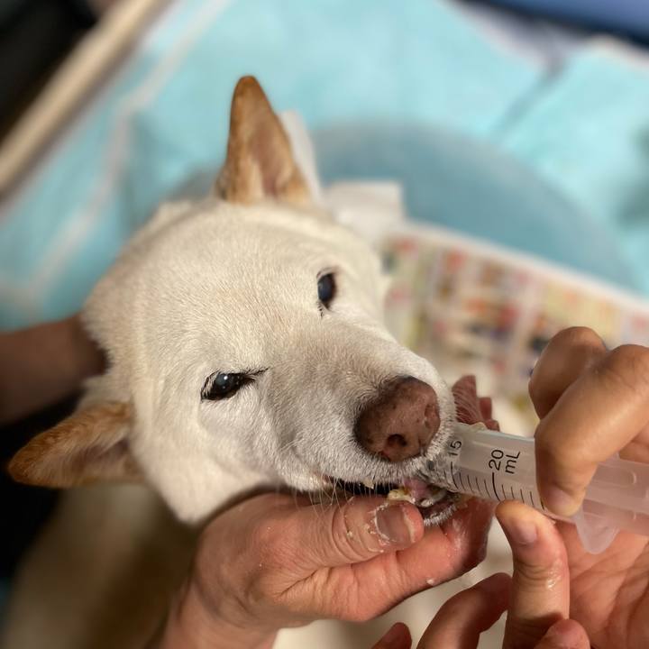 6e98a0b7 96c4 4a19 ab28 4057823fb3c9 1651924891837