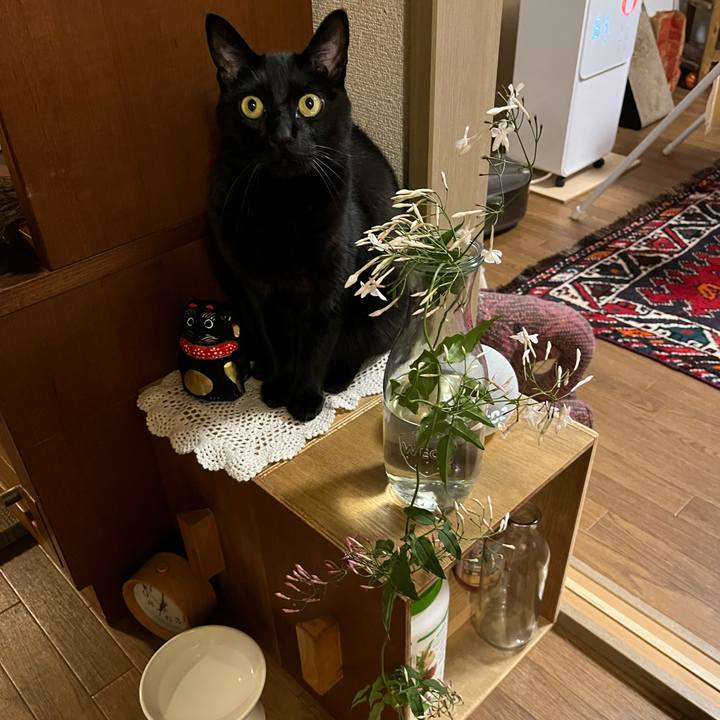 6e98a73e 3fb4 49da 9423 298aa5fbe0a5 1681035693305