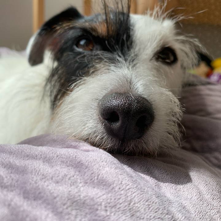 6e98af5d ca06 4073 8e4c 07c1bc0f6335 1631331617610