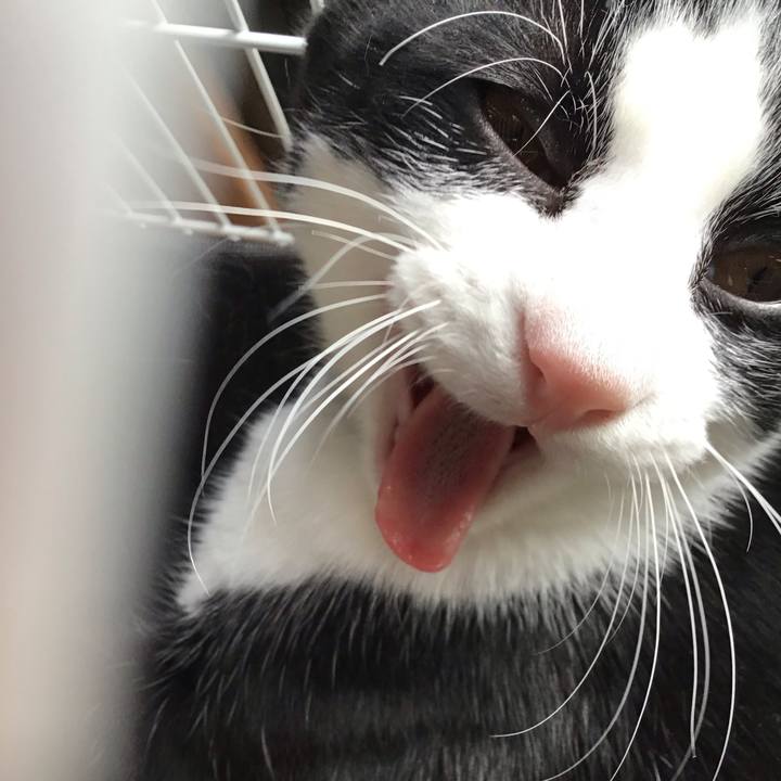 6e98ca62 ae56 43b4 9604 bf0df38302ac 1635323661548