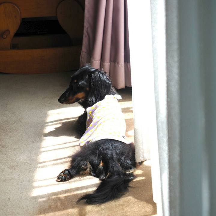 6e98f58b 81b5 4f72 9e30 469918093d06 1567391415251