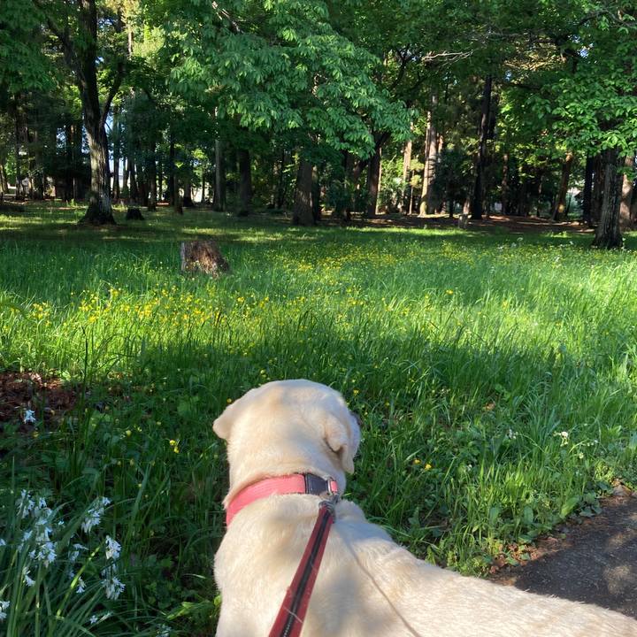 6e98fff1 6718 4da0 95c6 f89cc1176d2a 1746101670436