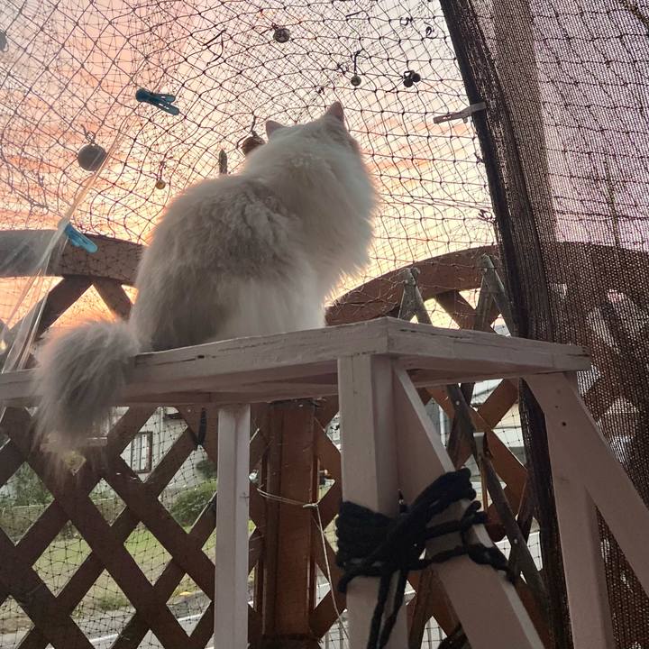 6e990973 3c48 4eea abd2 96dac4627d9a 1697357318579