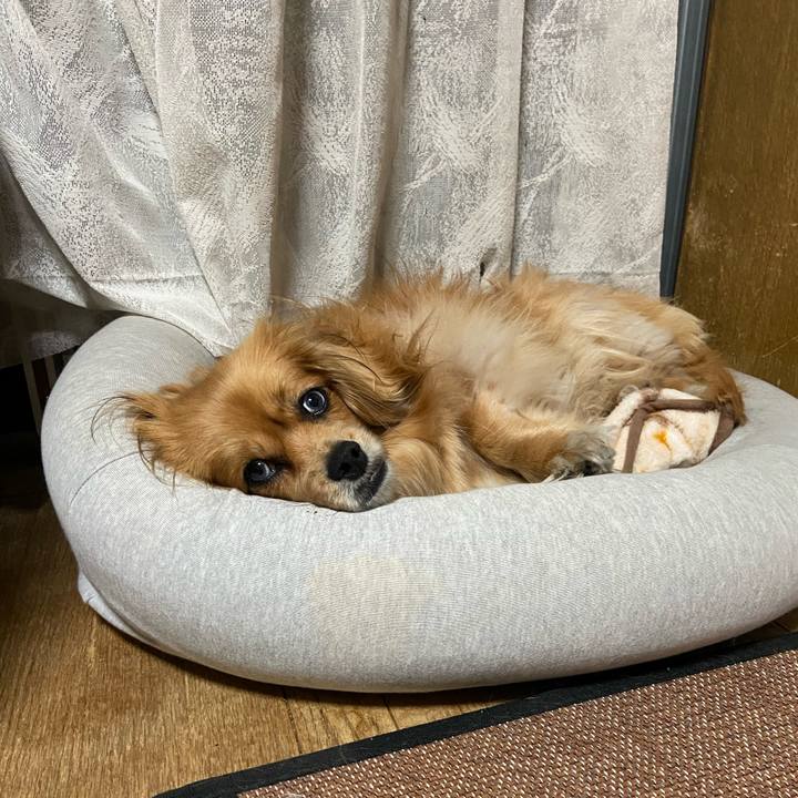 6e990adf d30e 4b2d a8d2 96332ef6f189 1588284543320