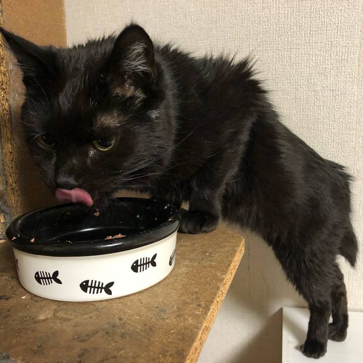 6e992503 99f2 4623 aa36 4f1812813f30 1619623614321