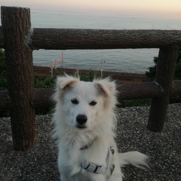 6e999920 6f19 454c 8cb2 27d7abd03f77 1509008280775