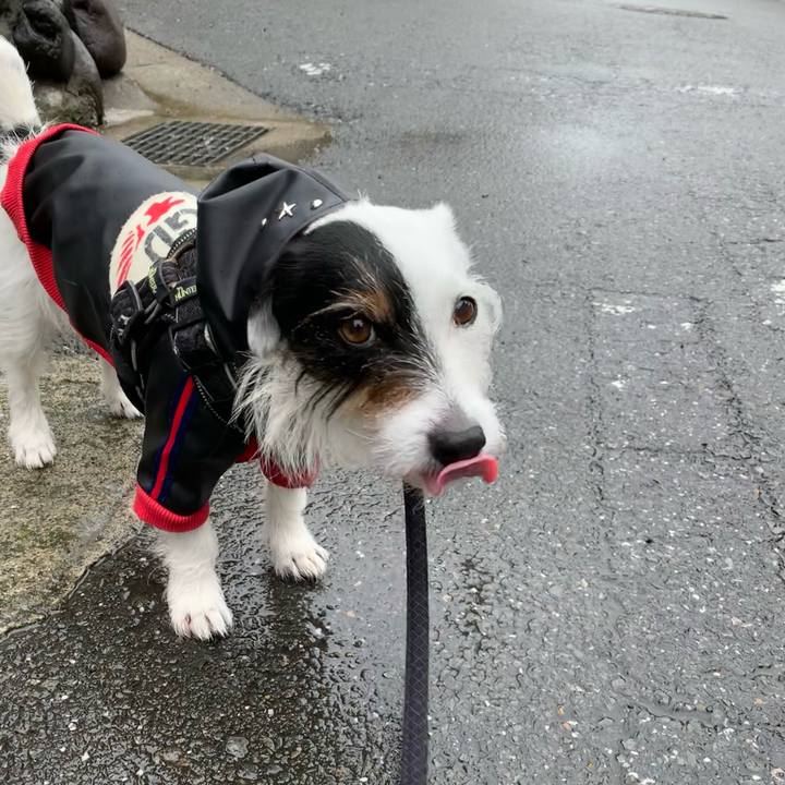 6e99aa4f 1098 4c20 9607 039a5fa708dd 1652402212121