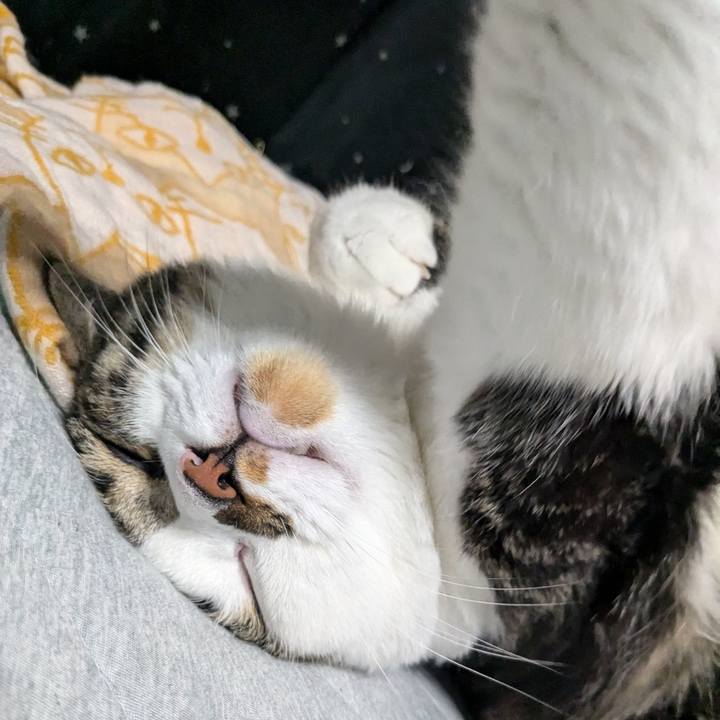 6e99ff57 69cf 466b bd50 afe70e078942 1724657750221