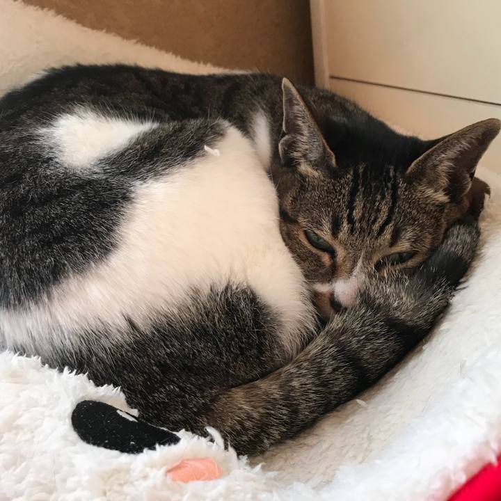 6e9a06c7 3a3a 4be0 bb39 848fe79e9ccc 1521942897021