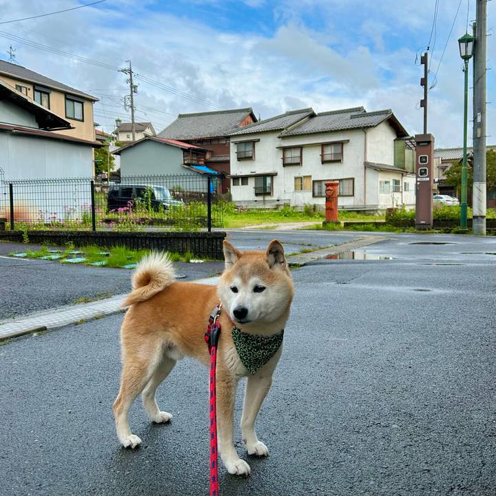 6e9a29fb 483f 4f70 9583 7381315e2e72 1749639050306