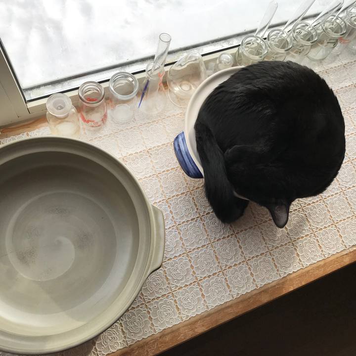 6e9a564d 1776 4ed4 8d0a c7832c06368b 1579097720107