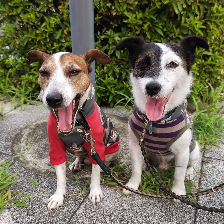 6e9a7cbe a30e 4fc7 8708 5cb325aec0f7 1751839625619