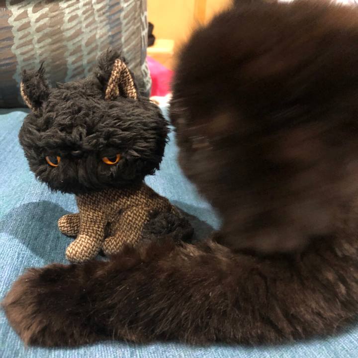 6e9a8168 452b 4689 8b8d 6622aceb4f93 1627386255779