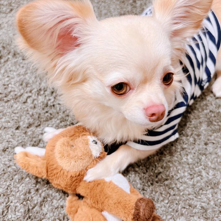 6e9a8f10 3e1a 4d75 b2b9 917cf42b155c 1657955304687