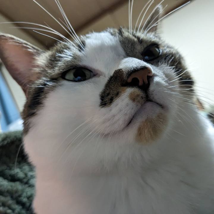 6e9b2785 0e7b 4956 96ce 379726c09728 1699183652782