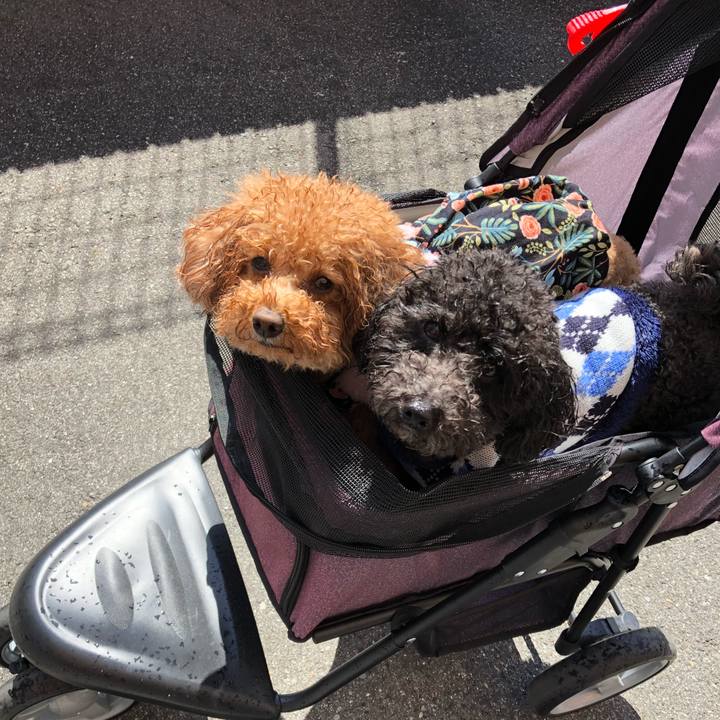 6e9b8d06 020c 4659 b062 34886f92ff9c 1584343168851