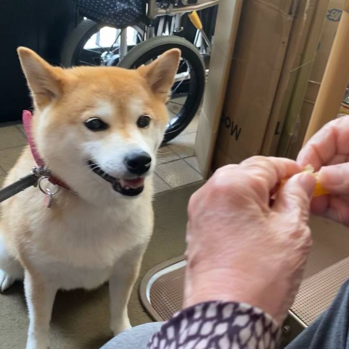 6e9b8fc8 8d76 469b 9579 37a7aed1dd67 1623680890410