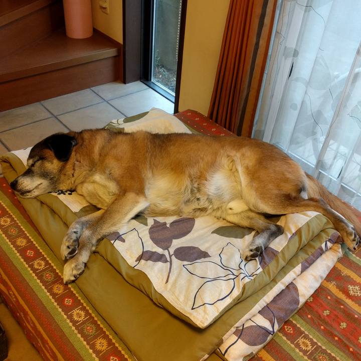 6e9b9869 52db 4b71 9731 7622891865ba 1552520864472