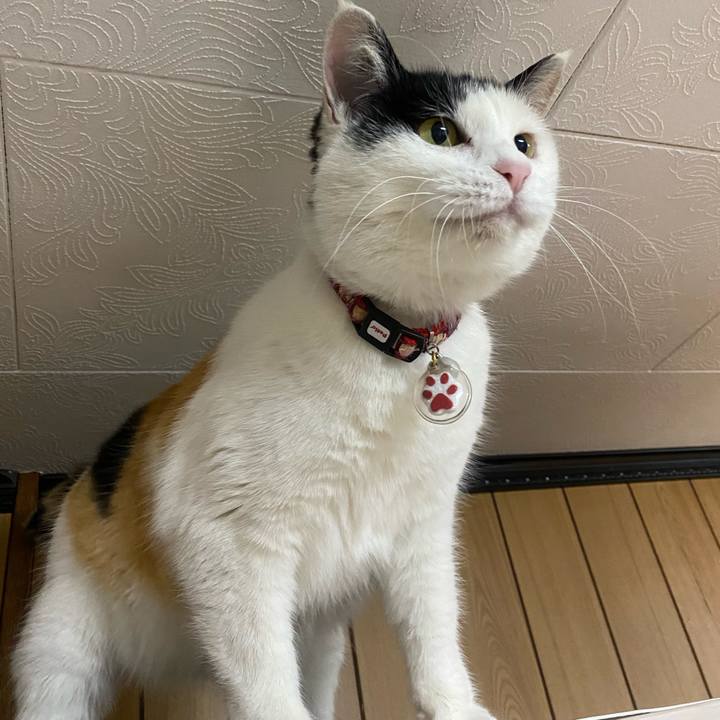 6e9bada9 cea7 470f a747 8e182d9ed75a 1645014626010