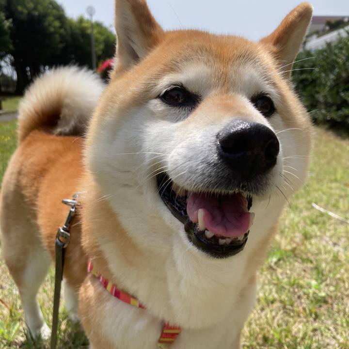 6e9be75c 0fd8 4bcb 9c9f 03536d531a1e 1698984522183