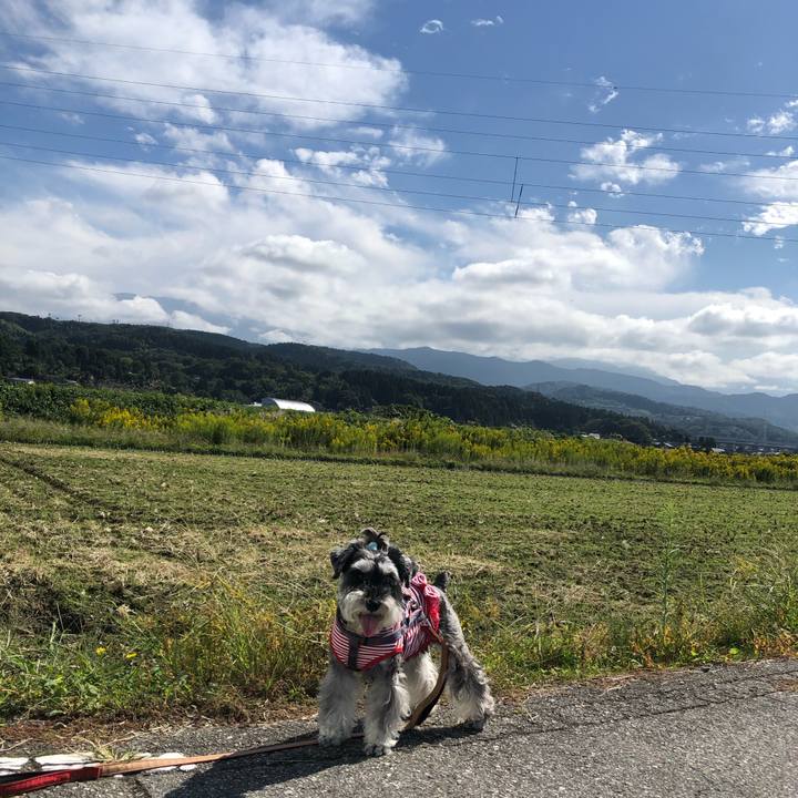 6e9be962 a05a 4945 9d40 6554ee083c7e 1665646631862