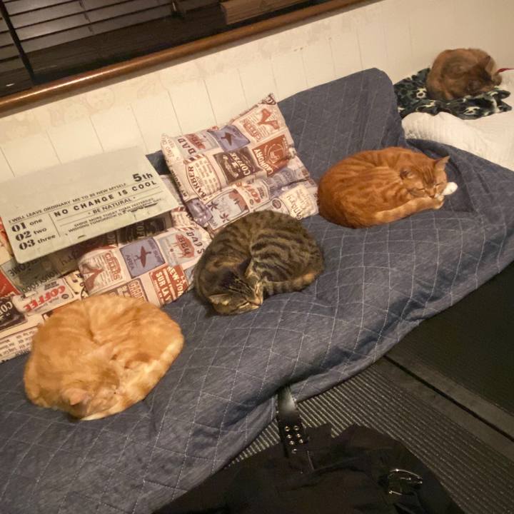 6e9bff85 3906 4f0c 9bb9 24216d425413 1586540074070