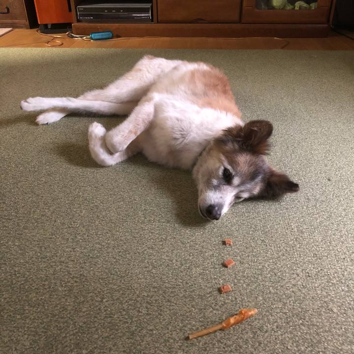 6e9c45cc eca8 4c0e 9175 b40d7cdfbd56 1535443151287